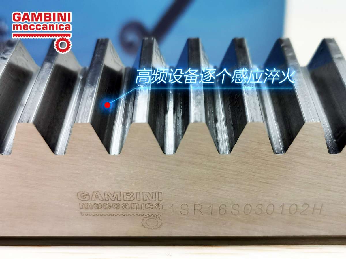 意大利Gambini進(jìn)口齒輪齒條 意大利Gambini進(jìn)口齒輪齒條