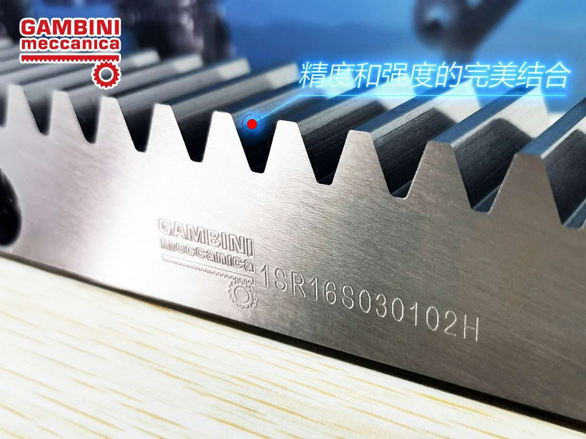 意大利Gambini進(jìn)口齒輪齒條 意大利Gambini進(jìn)口齒輪齒條