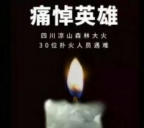 陽光甚好，是有人為我們擋住了黑暗...